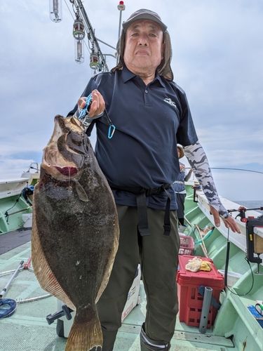 ヒラメの釣果