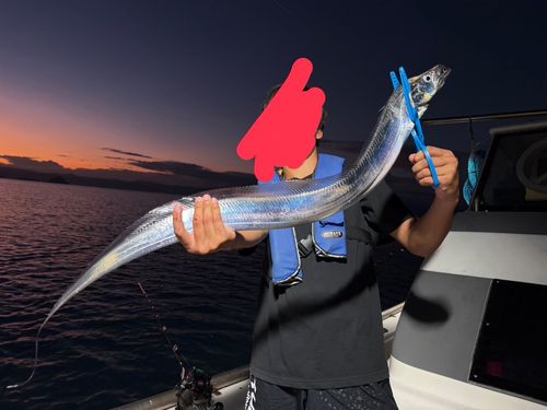 タチウオの釣果