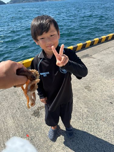 タコの釣果