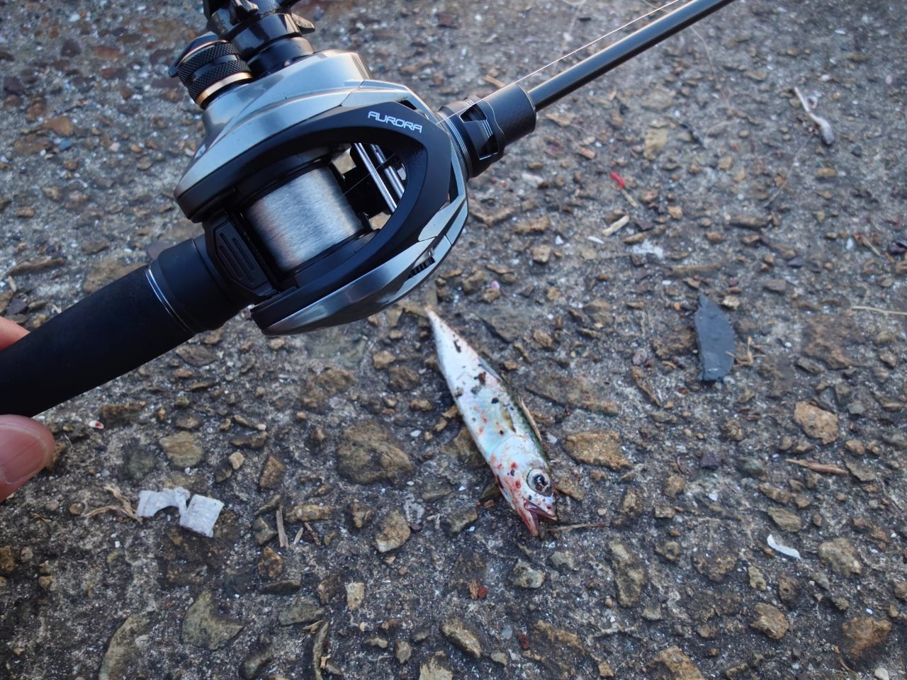 AbuGarcia ソルティーステージ プロトタイプ ベイトフィネス XAJC