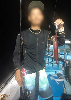 ヤリイカの釣果