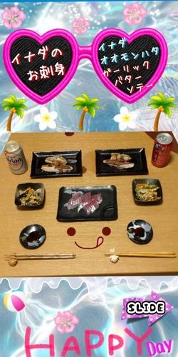 イナダの釣果