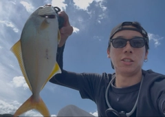 シオの釣果