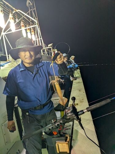 スルメイカの釣果