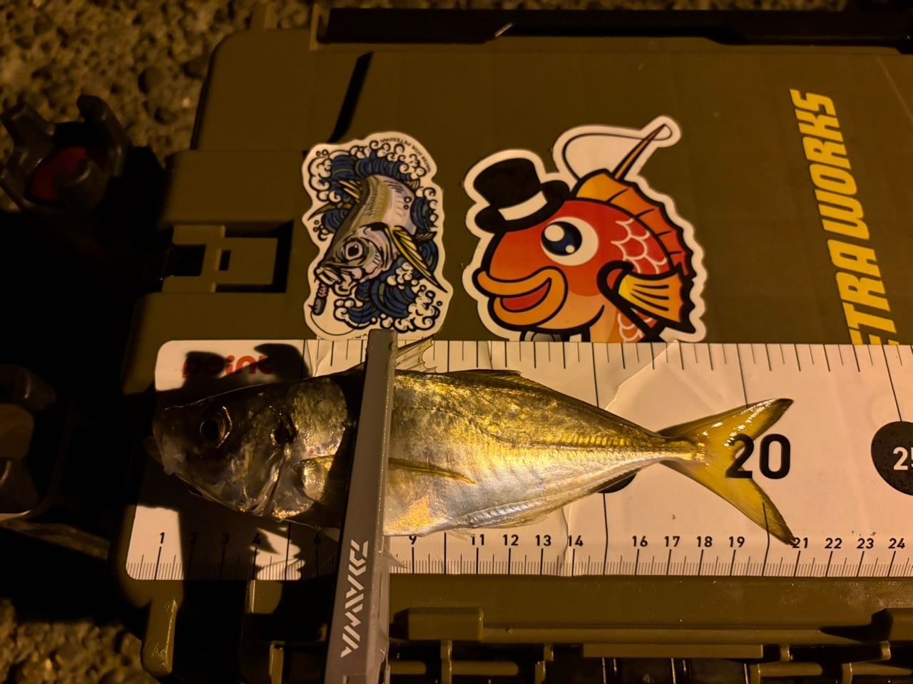AbuGarcia エラディケーター リアルフィネス プロトタイプ ERFS-60Pro