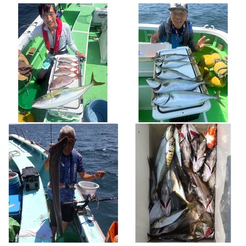マダイの釣果