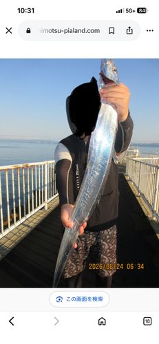タチウオの釣果
