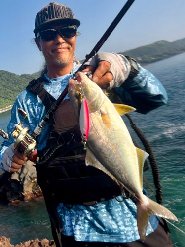 ショゴの釣果