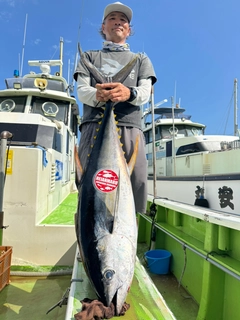 キハダマグロの釣果