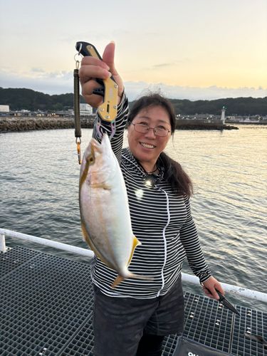 シオの釣果
