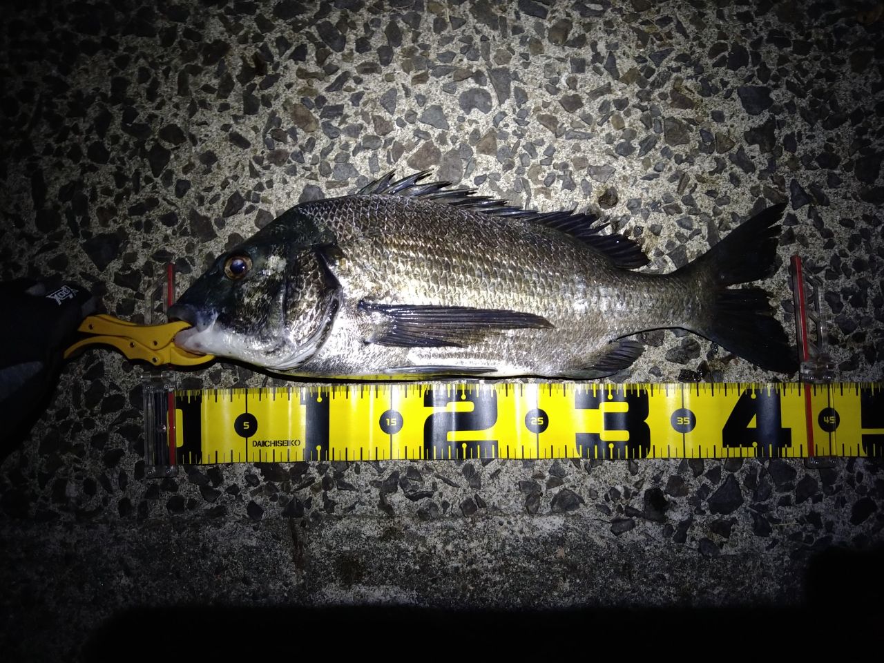 DAIWA 18シルバーウルフ 710ML-Sの最安値・インプレ・釣果 | 本音の