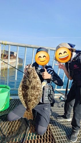 ヒラメの釣果
