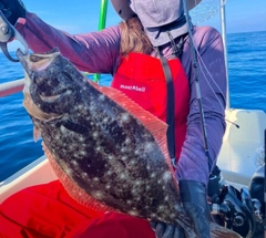 ヒラメの釣果