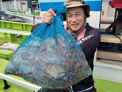 マダコの釣果