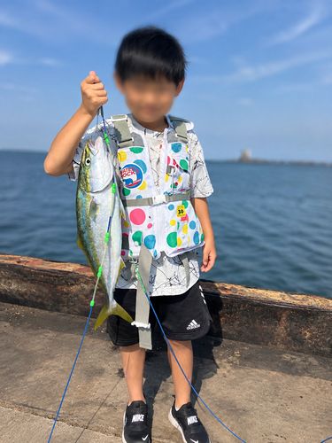 イナダの釣果