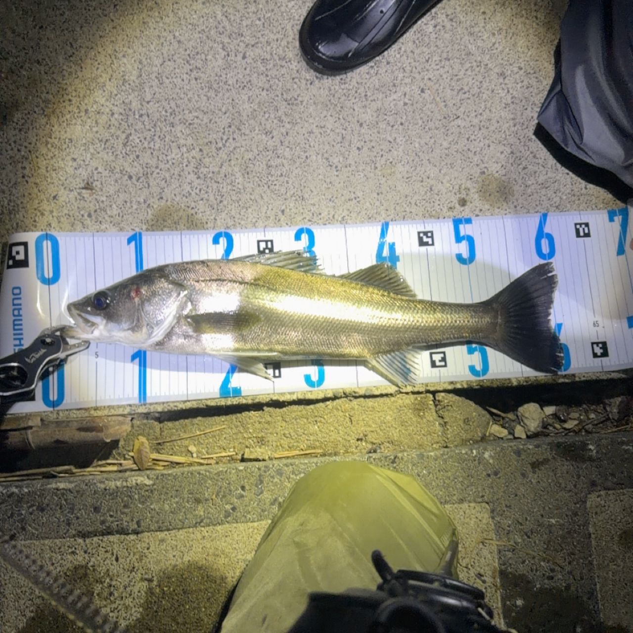DAIWA 14ラブラックス AGS（スピニングモデル） 106Mの最安値