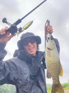 スモールマウスバスの釣果