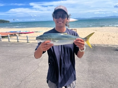 ヤズの釣果