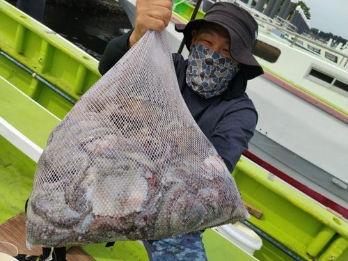 マダコの釣果