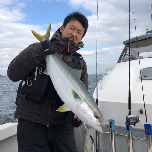 ブリの釣果