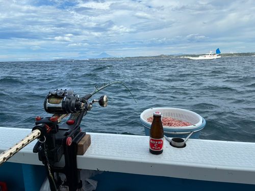 イナダの釣果