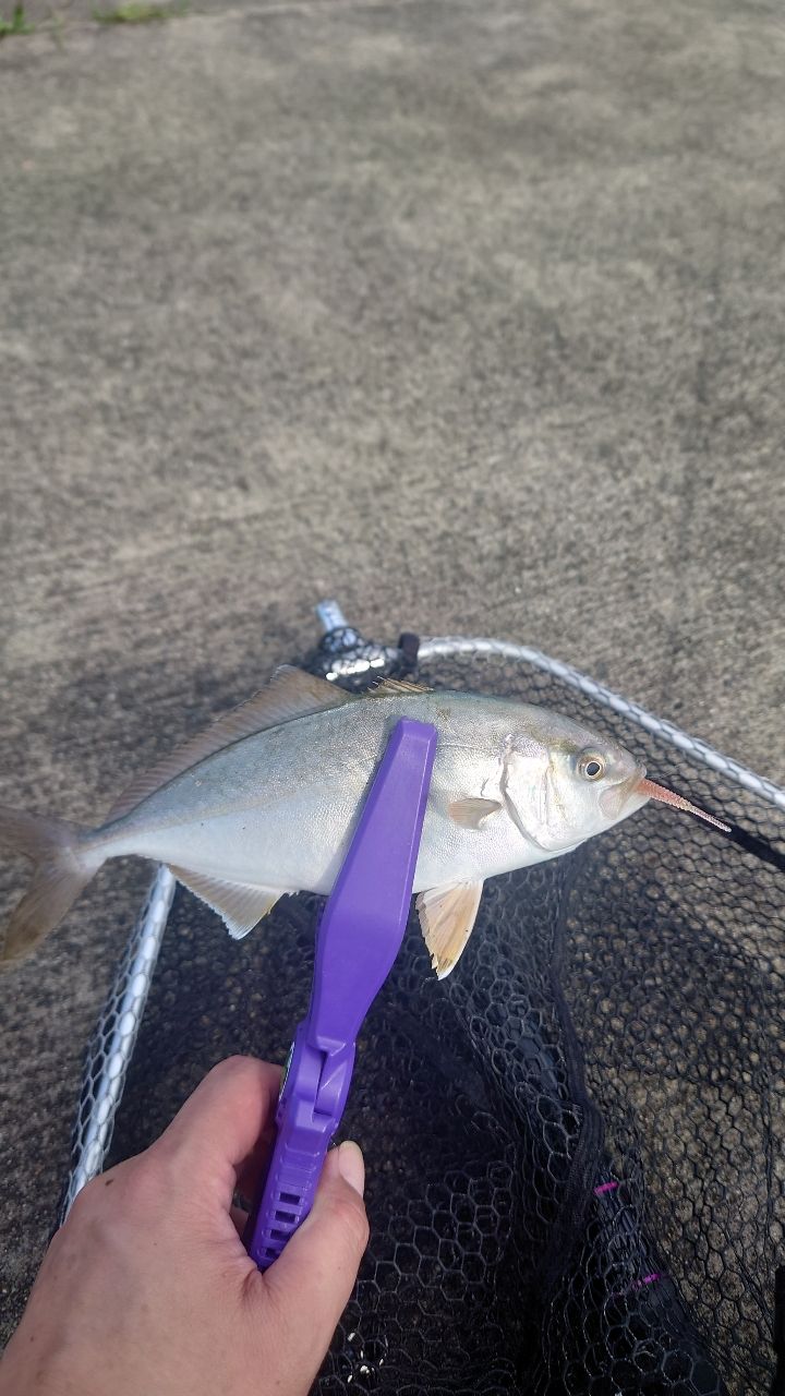 AbuGarcia ソルティーステージ プロトタイプ アジング XAJS-5102LSSの