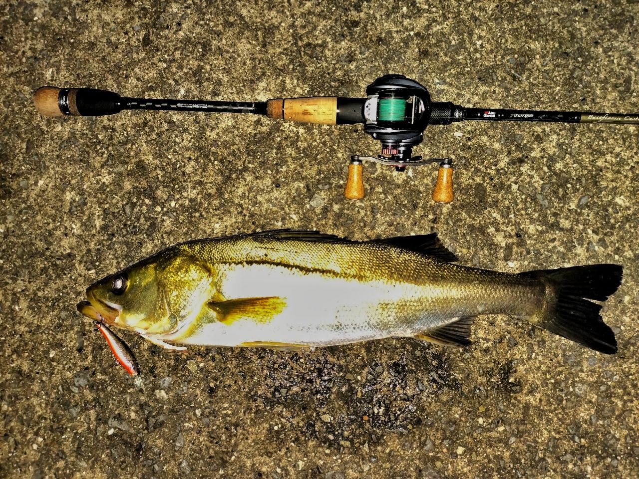 AbuGarcia ソルティーステージ・KR-X・ベイトフィネスカスタムの最安値