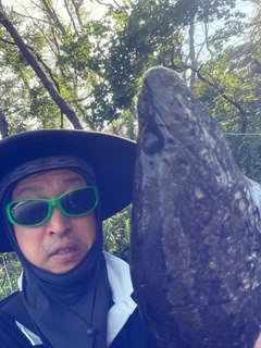 ライギョの釣果