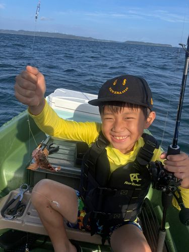 アラカブの釣果