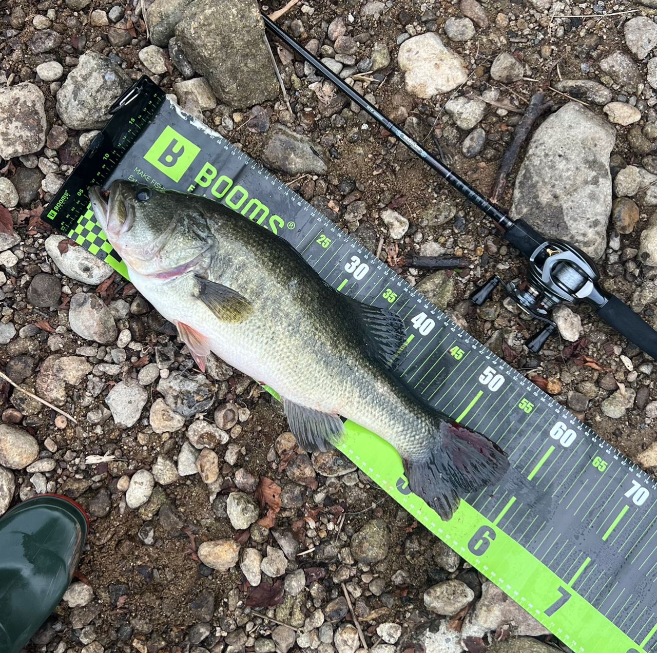 DAIWA 18ハートランド 6101MRB-18の最安値・インプレ・釣果 | 本音の