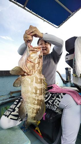 クエの釣果