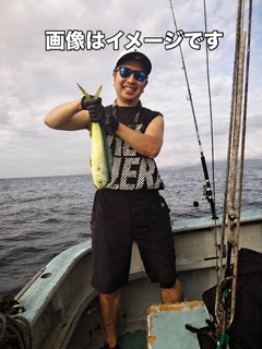 シイラの釣果