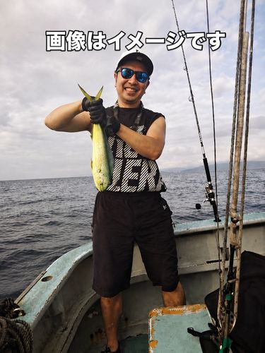 シイラの釣果