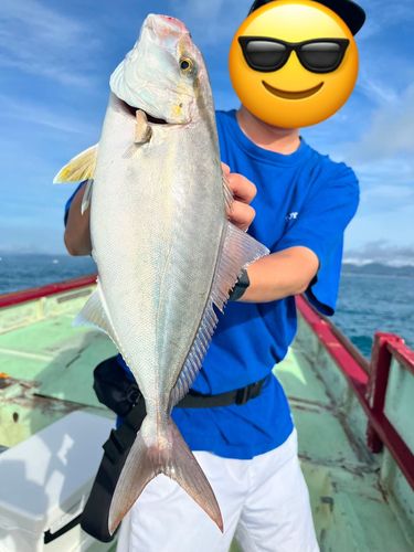 ネイリの釣果