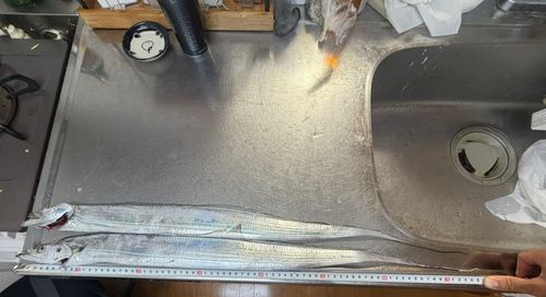 釣果