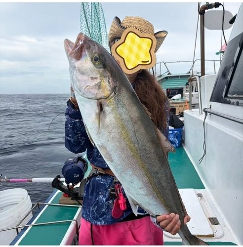 カンパチの釣果