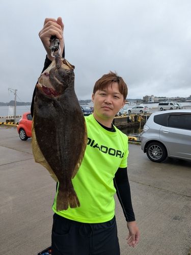 ヒラメの釣果