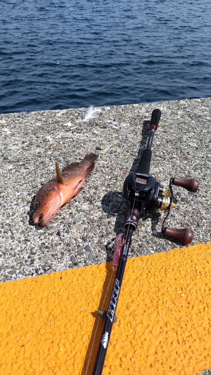 DAIWA 21ジリオン TW HD 1000XHLの最安値・インプレ・釣果 | 本音の