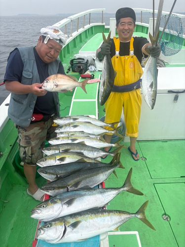 ブリの釣果