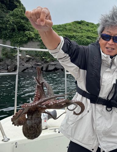 タコの釣果