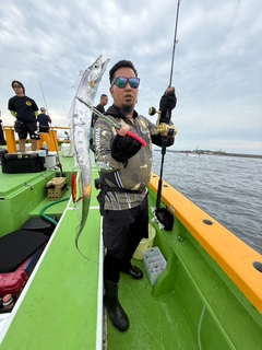 タチウオの釣果