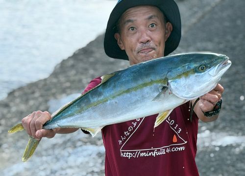 メジロの釣果