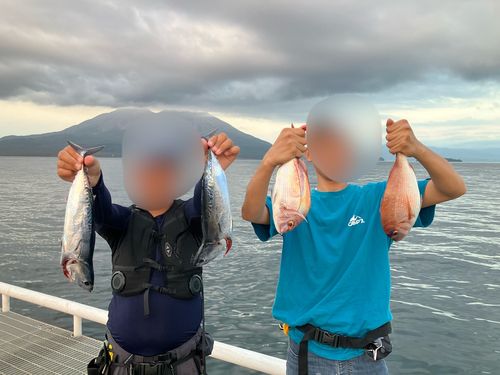 カツオの釣果
