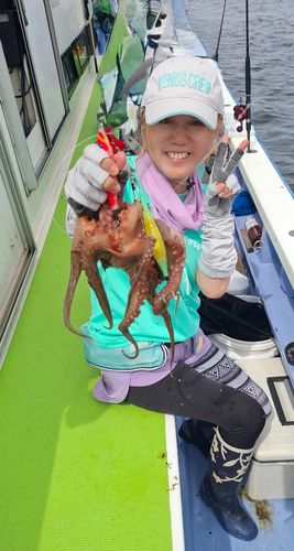 マダコの釣果