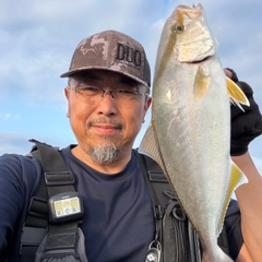 ショゴの釣果