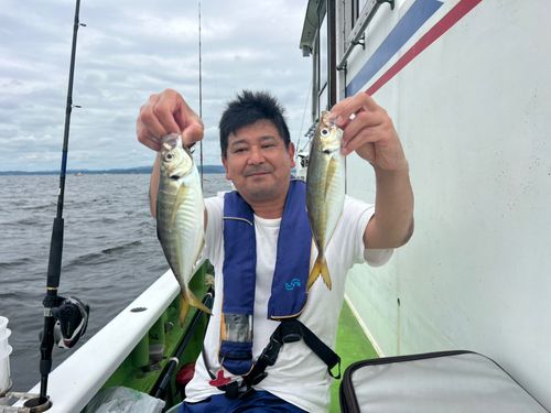 マアジの釣果