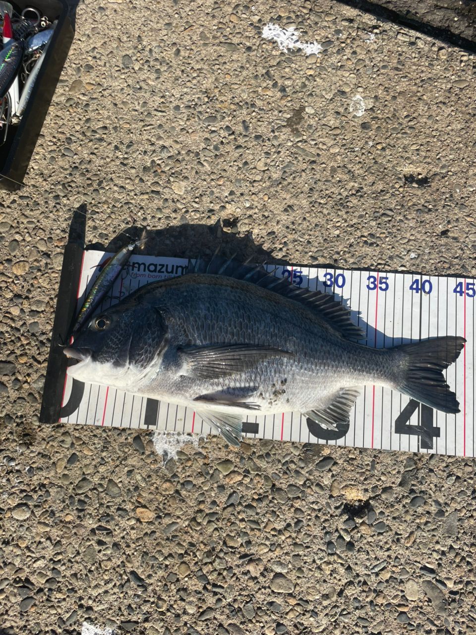 SHIMANO 20コルトスナイパー XR S96MHの最安値・インプレ・釣果 | 本音