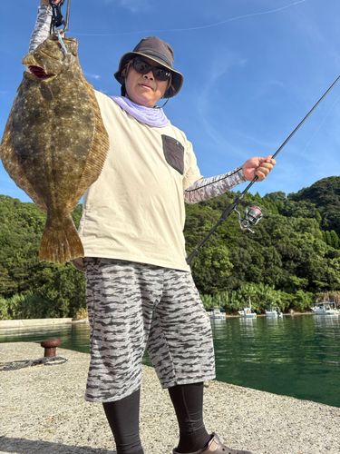 ヒラメの釣果