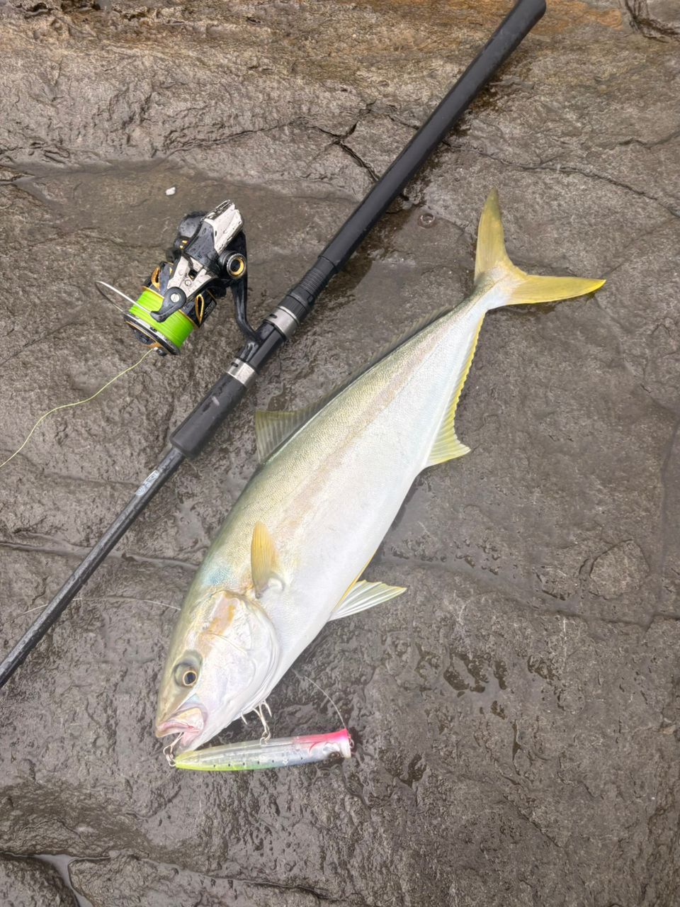 SHIMANO 19ステラ SW 4000HGの最安値・インプレ・釣果 | 本音の口コミ