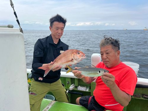 マアジの釣果